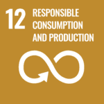 No12 Responsible Consumption and Production