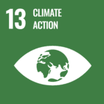No13 Climate Action