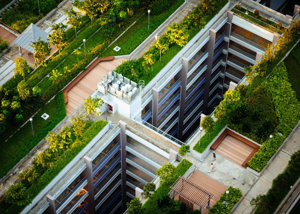 Urban rooftop garden on building